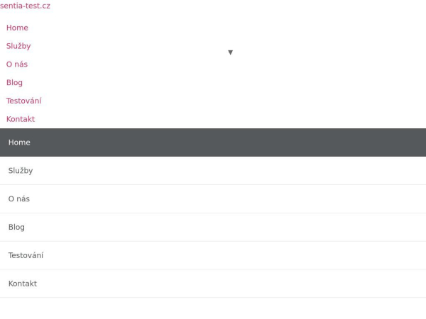 sentia-test.cz